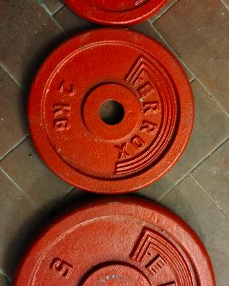 Pesi per palestra 