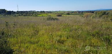 Terreno agricolo