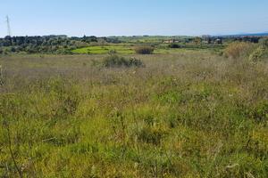 Terreno agricolo