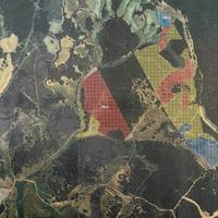 Terreno con Sugherete - prossima estrazione 2026