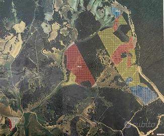 Terreno con Sugherete - prossima estrazione 2026