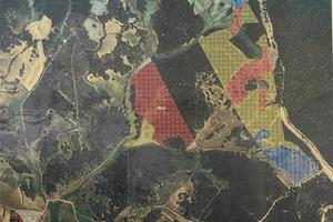 Terreno con Sugherete - prossima estrazione 2026