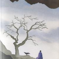 Libro di Tiziano Terzani "Un altro giro di giostra