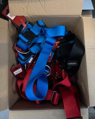 Collari nylon regolabili