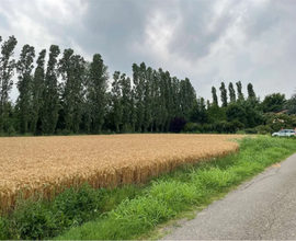 Terreno agricolo