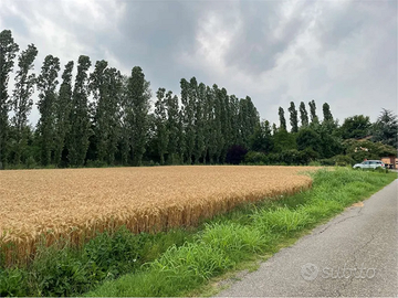 Terreno agricolo