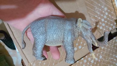 Amebelodon Geoworld