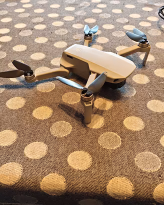 drone Mavic mini
