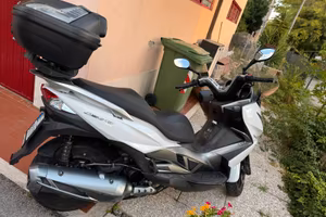 Kawasaki j 300