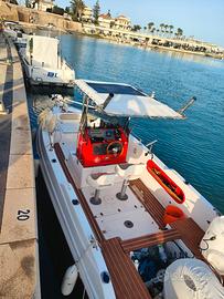 Barca Almarine 22 fish