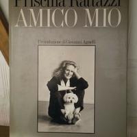 Priscilla Rattazzi - Amico mio (Fabbri Editori) -