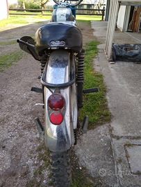 Moto Guzzi dingo cross anni 60