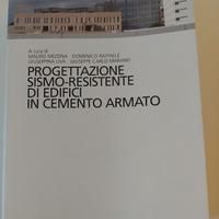 Progettazione sismo-resistente Mezzina Raffaele Uv