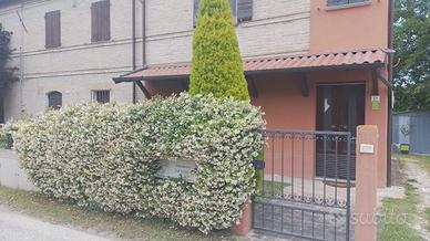 Agosto a Fano tra Mare, Natura e Relax