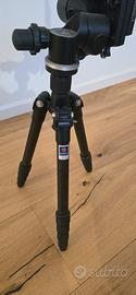 Treppiede Benro Traveller carbonio C169 M8