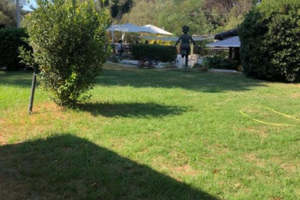 Bilocali in Ansedonia