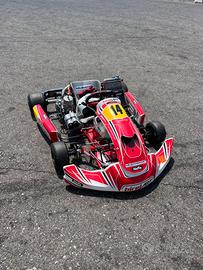 Birel Art s16 + tm kz 10