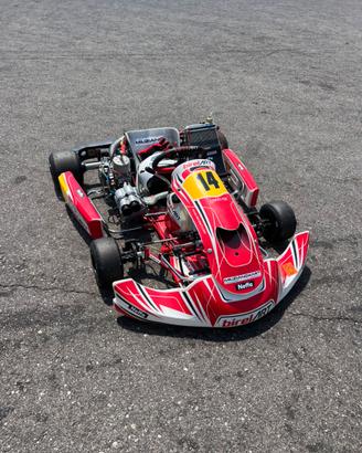 Birel Art s16 + tm kz 10