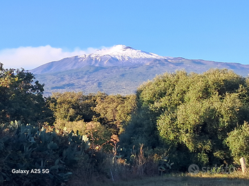 Oliveto Panoramico Valle D'Alcantara