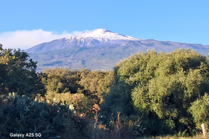 Oliveto Panoramico Valle D'Alcantara
