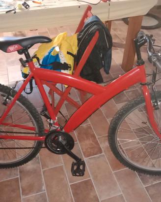 Mountain bike