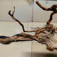 Legno Decorativo x Acquario o Terrario cm 48x33