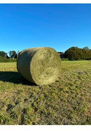 Fieno per ORTO