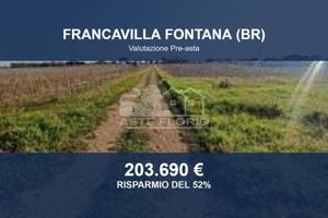 Immobile in asta di 155604 m² a Francavilla Fontan