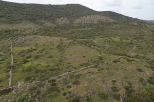 Terreno 20 ettrari unico mappale