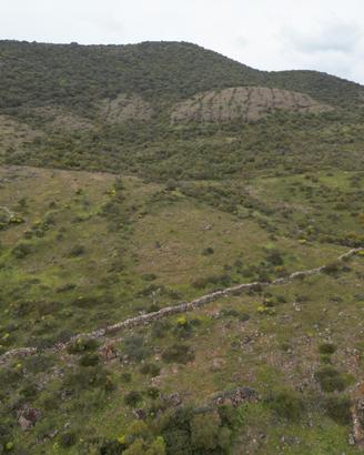 Terreno 20 ettrari unico mappale