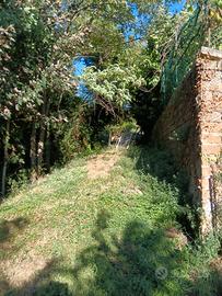 Terreno edificabile Amelia Fornole