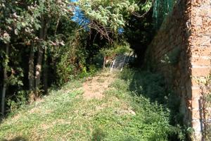 Terreno edificabile Amelia Fornole