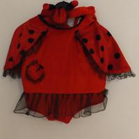 vestito carnevale coccinella 