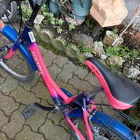 Bicicletta