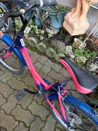 Bicicletta