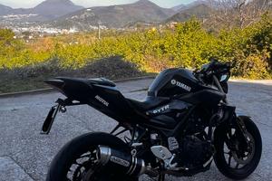 Mt 03 abs