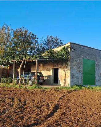 Casale