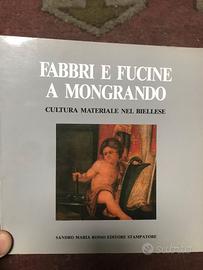 fabbri e fucine a Mongrando - libro