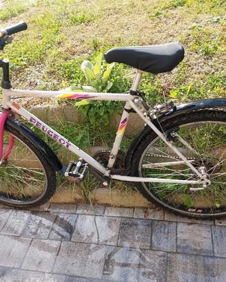 Mountain bike