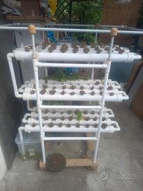 struttura per idroponica