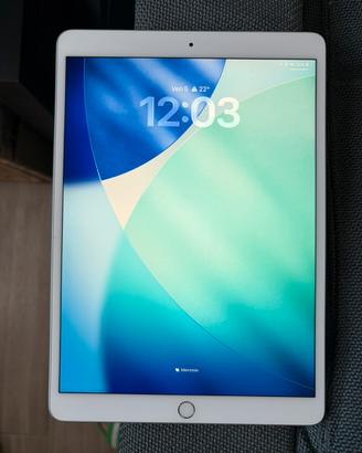 IPad Air 3 64Gb 4G Cellular iOS 26 Argento/Bianco