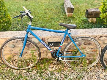 Bicicletta ragazzi