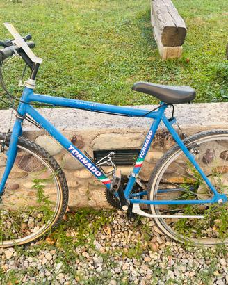 Bicicletta ragazzi