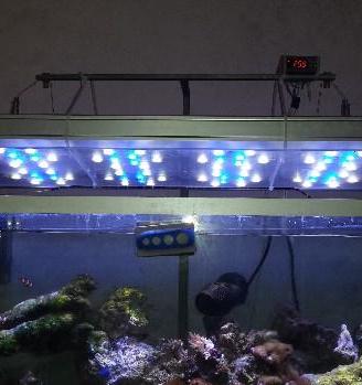 Plafoniera a led per acquario marino