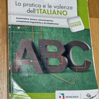 LA PRATICA E LE VALENZE DELL' ITALIANO