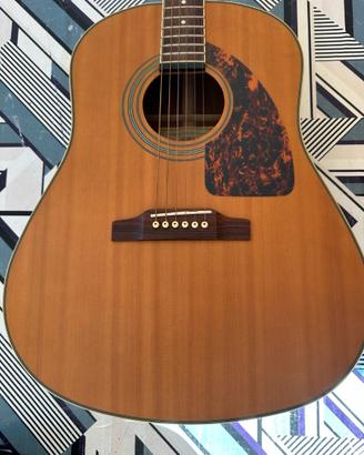 Chitarra acustica elettrificata Epiphone Masterbil