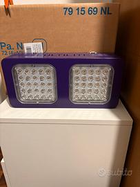 Lampade grow box