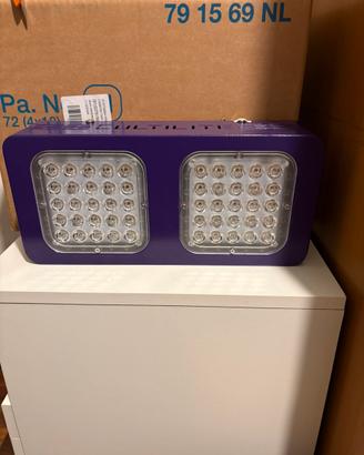 Lampade grow box