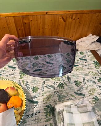 Viaiera fotocromatica x Arai