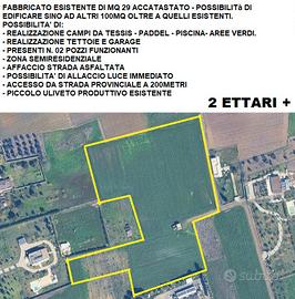 Terreno 2 ettari con fabbricato
